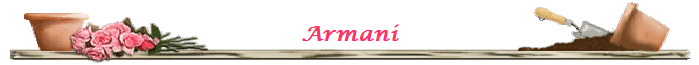 Armani