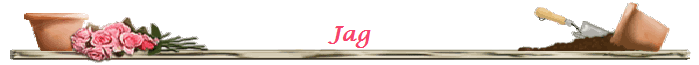 Jag