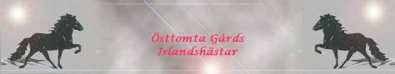 sttomta Grds
Islandshstar