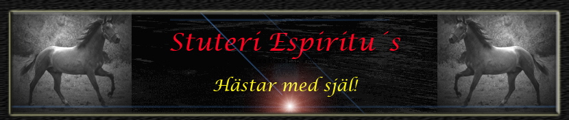 Pura Raza Espaola