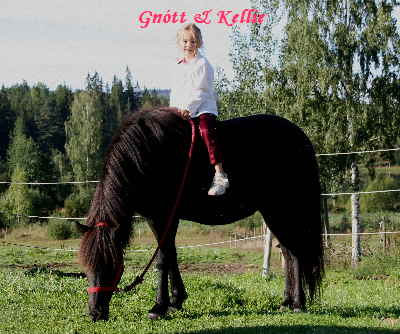 Kellie & Gntt