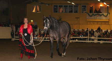 2006-12-10, Novillero Lucia Show 006