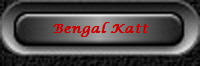 Bengal Katt