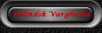 Irlndsk Varghund