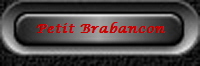 Petit Brabancon