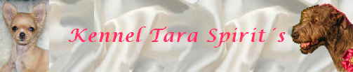 Tara Spirits